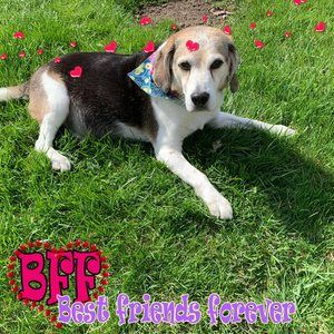 Meet your Posher, Lorraine